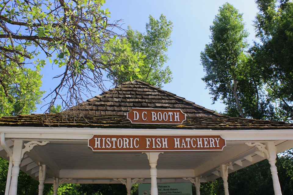 DC Booth Fish Hatchery